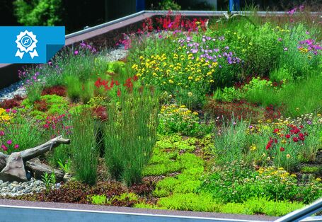 Bepflanztes Dach mit Blümen, Gräsern und anderen Pflanzen.