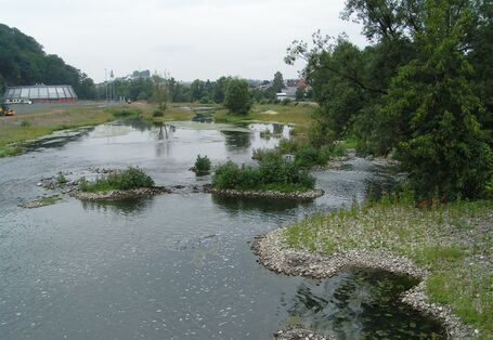 Fluss mit Siedlung im Hintergrund