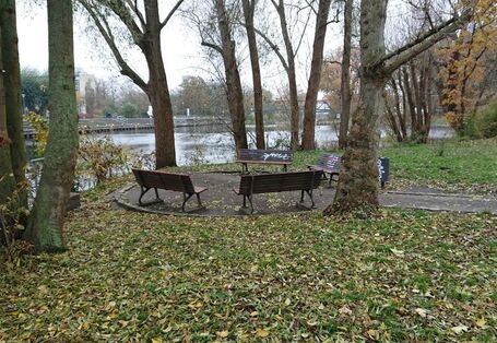 Parkbänke stehen kreisförmig zusammen unter unbelaubten Bäumen am Wasser. Im Hintergrund sind Bäume, Häuser und eine Brücke zu sehen.