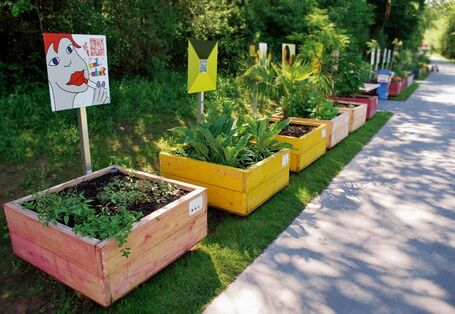 Kleine, bunt angemalte Holzkästen mit Hochbeeten