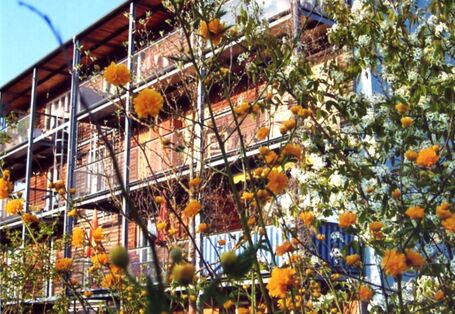 Büsche im Vordergrund, im Hintergrund ein Mietshaus