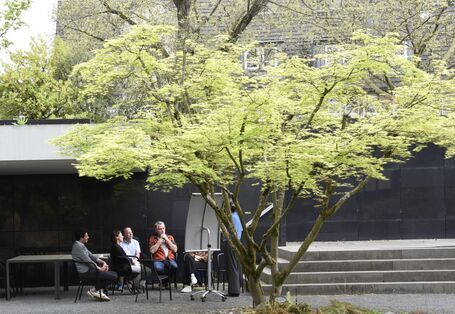 Expert*innen diskutieren unter einem Baum über Studieninhalte im Public Management Studiengang 