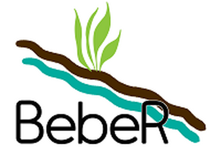Logo des Verbundprojektes Bodenerosionsminderung in bergigen Regionen am Beispiel des Landkreises Mansfeld-Südharz (BebeR)