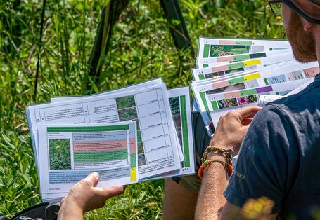 Fotografie laminierter Steckbriefe, die von Personen in einem Weinberg gehalten werden.
