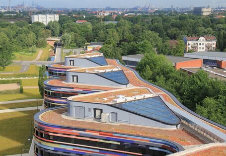 Drei moderne Häuserdächer mit Begrünung