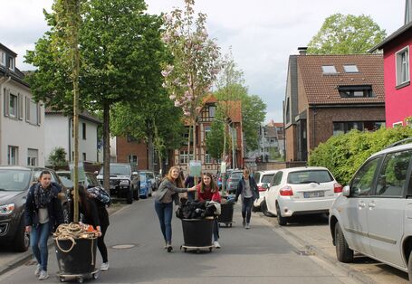 Bäume auf Wanderschaft