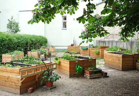 Bepflanzte Hochbeete im urbanen Raum.