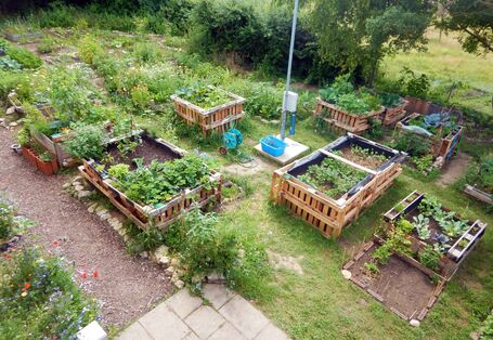 Beete und Wege des Campus Gartens
