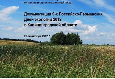 Publikationscover mit einer Wiese, einem Baum und blauem Himmel