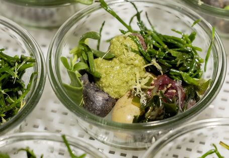 Halophyten (Queller) als Zutat zum Salat.