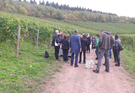 Klimaanpassung im Tourismus