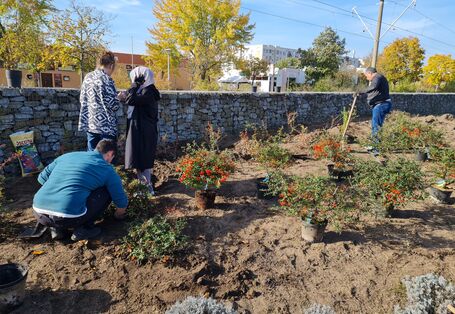 Zu sehen sind vier Personen unterschiedlichen Geschlechts, die gemeinsam Sträucher einpflanzen.