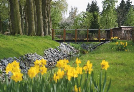 Ein Bach fließt unter eine Holzbrücke entlang von Bäumen und blühender Wiese.