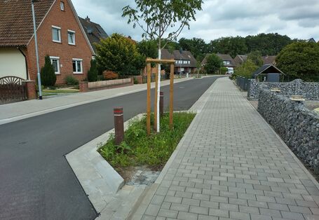 Nachbegrünung und Entsiegelung durch Anlage eines Baumbeetes