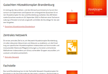 Überblick über den Aufbau der ministeriellen Webseite zum Hitzeschutz des Landes Brandenburg.