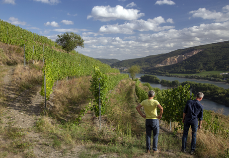 Personen stehen für Interview mit Winzer*innen im querterrassierten Weinberg zusammen.