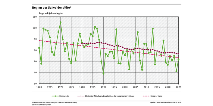 Das Liniendiagramm zeigt den Zeitpunkt des Blühbeginns der Salweide (Tage ab Jahresbeginn, Gebietsmittel für Deutschland) in den Jahren seit 1960. Der lineare Trend zeigt, dass sich der Zeitpunkt tendenziell in Richtung Jahresbeginn verschiebt. 