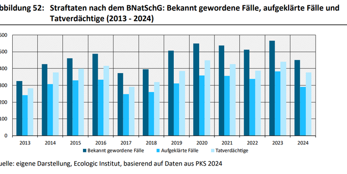 Dies ist ein Balkendiagramm. Die bekannt gewordenen Fälle von Straftaten nach dem BNatSchG stiegen zwischen 2013 und 2024 um 38 % an. Die aufgeklärten Fälle und die Tatverdächtigen stiegen zwischen 2013 und 2024 ebenfalls um 20 % bzw. 33 % an. Die Aufklärungsquote verschlechterte sich dabei fast kontinuierlich: von 75 % im Jahr 2013 auf 65 % im Jahr 2024.