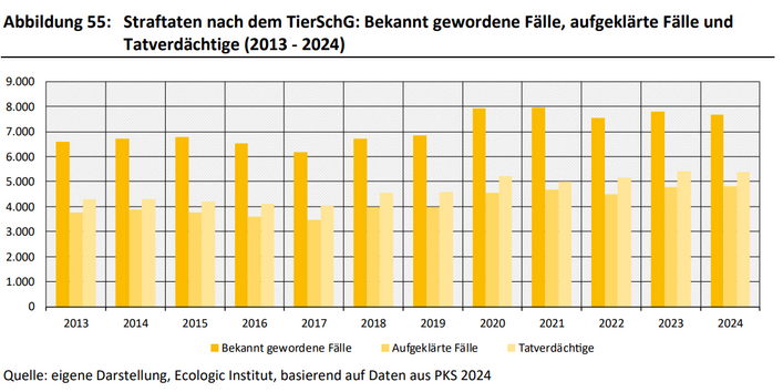 Dies ist ein Balkendiagramm. Die bekannt gewordenen Fälle, aufgeklärten Fälle und die Tatverdächtigen für Straftaten nach dem TierSchG nahmen über die Jahre 2013 bis 2024 leicht zu, von 6.573 Fälle im Jahr 2013 bis 7.657 Fälle im Jahr 2024. Die Aufklärungsquote stieg allerdings ebenfalls im Berichtszeitraum, sie lag zwischen 2013 und 2024 zwischen 55 % und 63 %. 