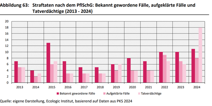 Dies ist ein Balkendiagramm. Die Zahl der bekannt gewordenen Fälle von Straftaten nach dem PflSchG schwankte im Zeitraum 2013 - 2024 zwischen 4 und 13 Fällen pro Jahr. Die Aufklärungsquote betrug im selben Zeitraum zwischen 43 % und 90 %. 