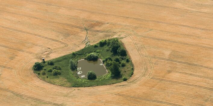 Luftaufnahme von einem Kleingewässer umgeben von Ackerflächen