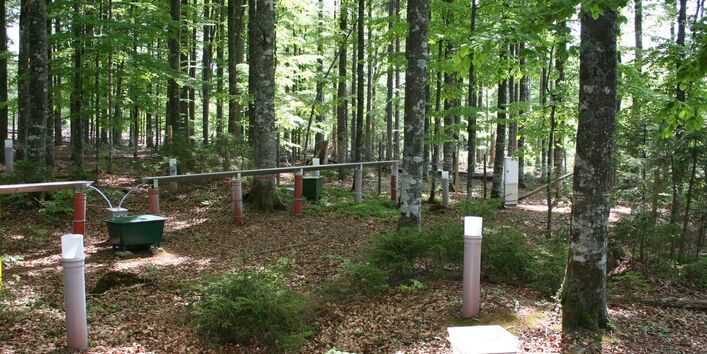 Das Foto ist in einem Buchenwald aufgenommen und zeigt verschieden Trichter und Rinnen zur Erfassung des Niederschlags. 