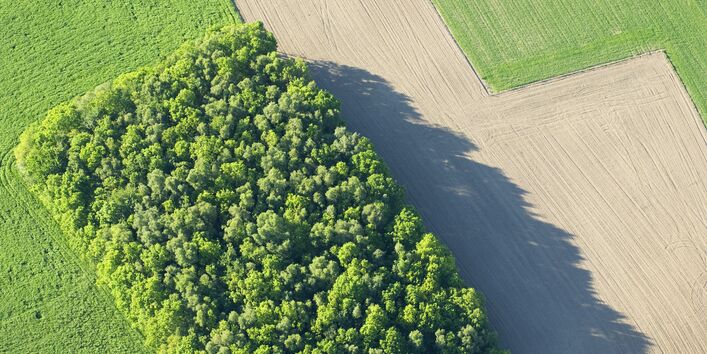 Ein Feld aus der Vogelperspektive