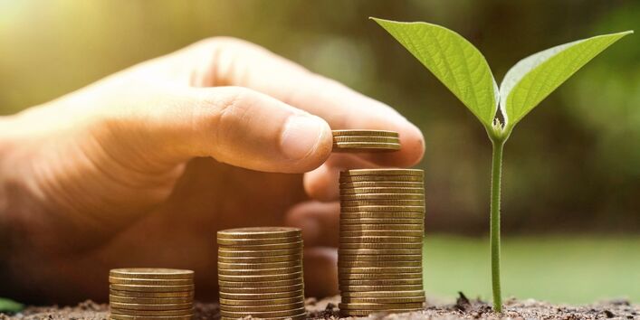 Haushaltspolitik als Instrument der Umweltlenkung