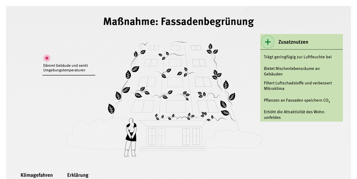Infografik zur Maßnahme Fassadenbegrünung: Begrünte Gebäudefassade reduziert Hitze, kühlt durch Verdunstung und verbessert das Mikroklima. Pflanzen filtern Luftschadstoffe, speichern CO₂ und schaffen Lebensräume. Zusätzliche Effekte sind eine leicht erhöhte Luftfeuchte und eine attraktivere Wohnumgebung.