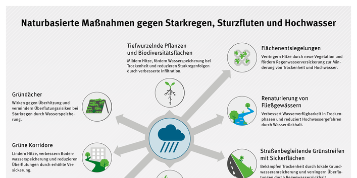 Infografik zu naturbasierten Maßnahmen gegen Starkregen, Sturzfluten und Hochwasser: Begrünte Dächer, Entsiegelung, Feuchtbiotope und grüne Infrastruktur speichern und verzögern Regenwasser, fördern Versickerung und reduzieren Überflutungsrisiken in Städten.