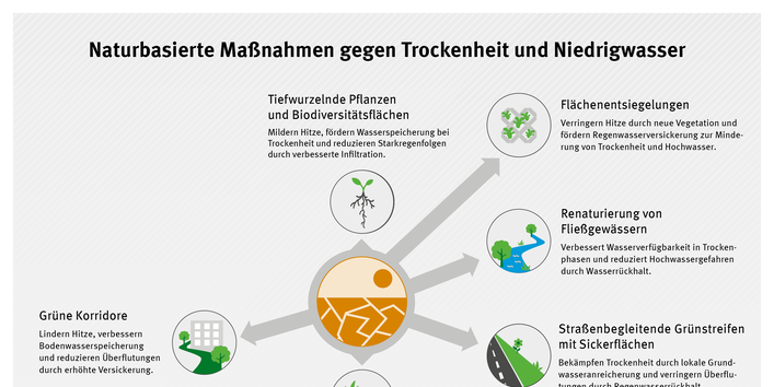 Infografik zu naturbasierten Maßnahmen gegen Trockenheit und Niedrigwasser: Maßnahmen wie Entsiegelung, Feuchtbiotope, grüne Korridore und tiefwurzelnde Pflanzen verbessern die Wasserspeicherung, fördern die Grundwasserneubildung und erhöhen die Resilienz gegenüber Trockenperioden.