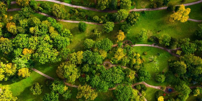 Auf dem Bild ist eine Landschaft zu sehen mit Bäumen und Wiesen. Durch diese Wiesen und zwischen den Bäumen hindurch gehen viele Wege.