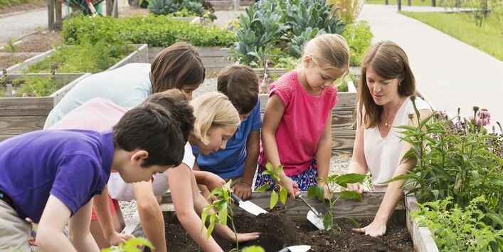 Schülerinnen und Schüler im Grundschulalter bauen mit einer Lehrerin auf einem Hochbeet Gemüse an