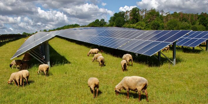 Freiflächen-Photovoltaikanlage auf einer Wiese, auf der Schafe weiden