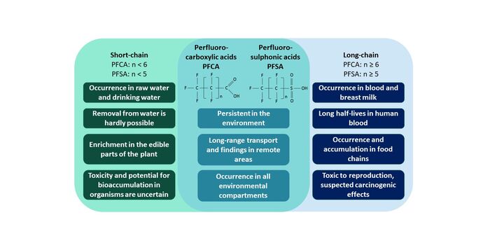 Concerning properties of PFAS