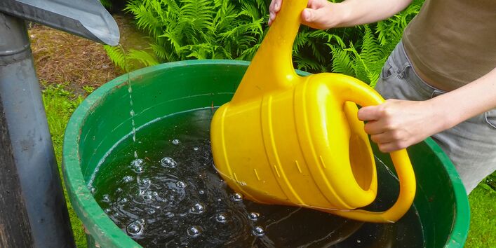 Foto von der Seite. Ein Mensch hält eine große gelbe Gieß-Kanne in eine grüne Regen-Tonne. Die Tonne ist voll mit Wasser. Links fließt frisches Regen-Wasser aus einer grauen Dach-Rinne in die Tonne. Im Hintergrund wachsen grüne Pflanzen.