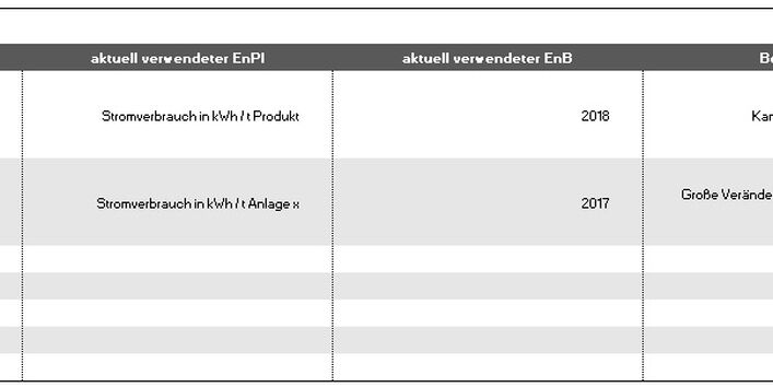 Grafik Element 12 - Managementbewertung: Energiebezogene Leistung