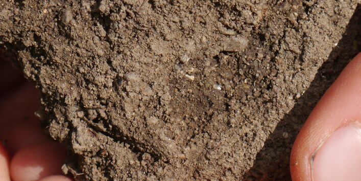 Ein Kind hält eine Hand voll Boden.