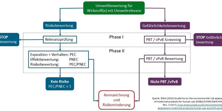 Environmental risk assessment procedure for pharmaceuticals for human use (as of 2024)