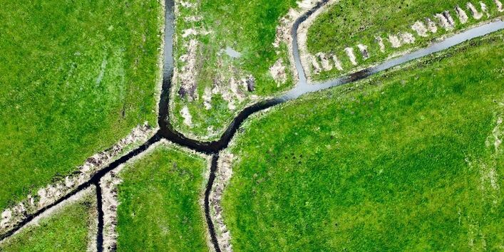 canals delta