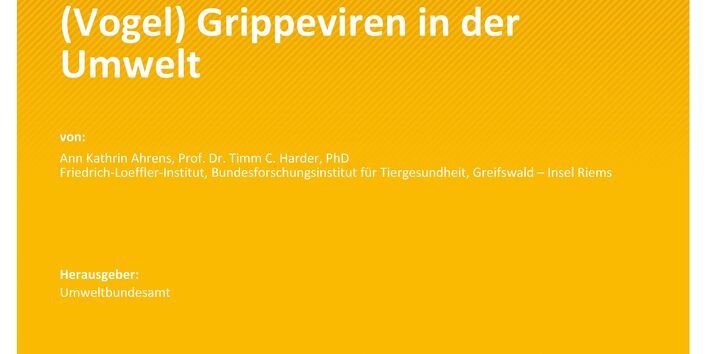 Cover des Berichts "Entwicklung eines Nachweisverfahrens für (Vogel)Grippeviren in der Umwelt"