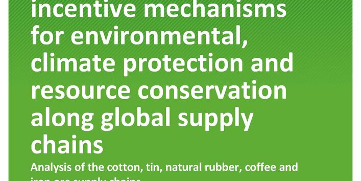 Cover des Berichts "Cost allocation and incentive mechanisms for environmental, climate protection and resource conservation along global supply chains"