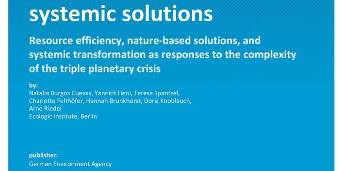 Cover of report "Moving from interconnected crises to systemic solutions"