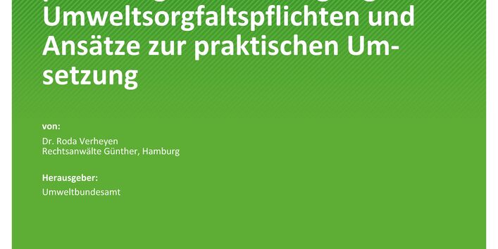 Cover des Berichts "Das Lieferketten-Sorgfaltspflichtengesetz: Auslegung der Umweltsorgfaltspflichten und Ansätze zur praktischen Umsetzung"