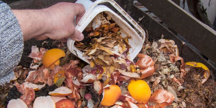 Eine Person entleert einen kleinen weißen Plastikeimer mit Küchenabfällen, wie Schalen von Zitrusfrüchten und Zwiebeln, auf einen Gartenkompost.