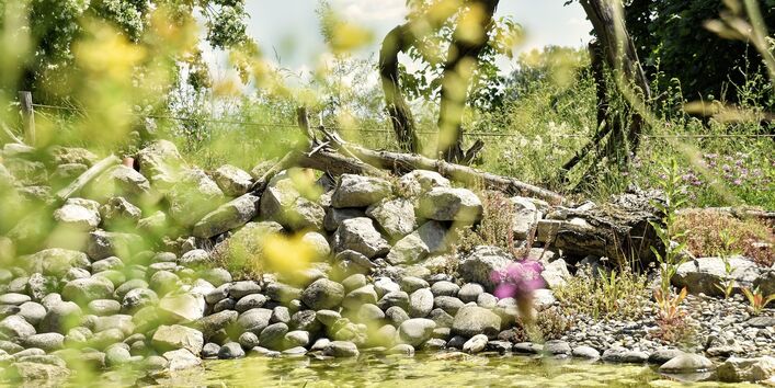 Gartenteich mit Steinen und Grün drumherum