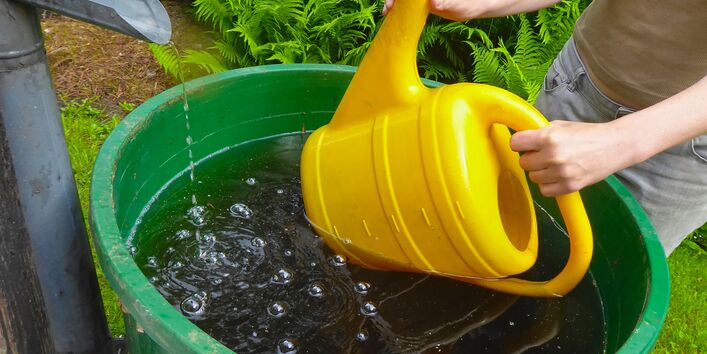 Eine Person taucht eine große gelbe Gießkanne in eine grüne Regentonne, die mit Wasser gefüllt ist. Links im Bild fließt Wasser aus einem metallischen Fallrohr direkt in die Tonne, im Hintergrund sind grüne Farne zu sehen.