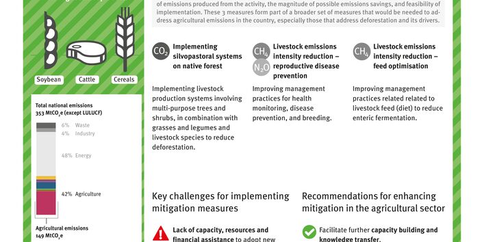 Übersicht der Key Facts und größten Minderungspotenziale der Landwirtschaft in Argentinien