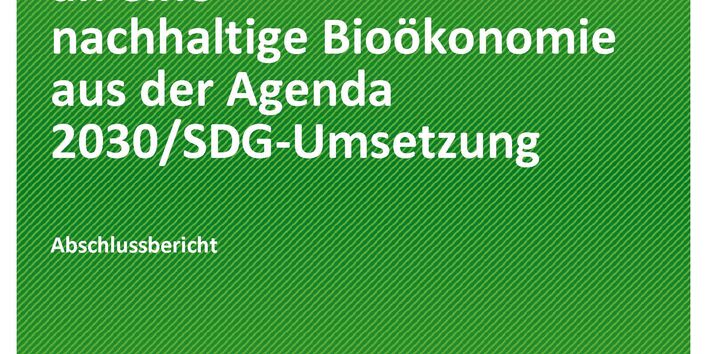Cover der Publikation TEXTE 181/2020 Nachhaltige Ressourcennutzung – Anforderungen an eine nachhaltige Bioökonomie aus der Agenda 2030/SDG-Umsetzung