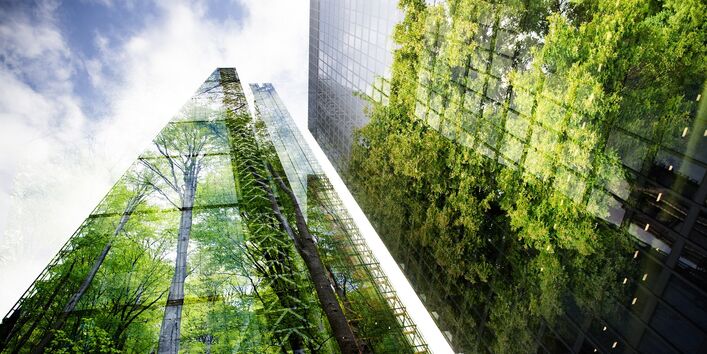 skyscrapers with glass facades, in which trees reflect